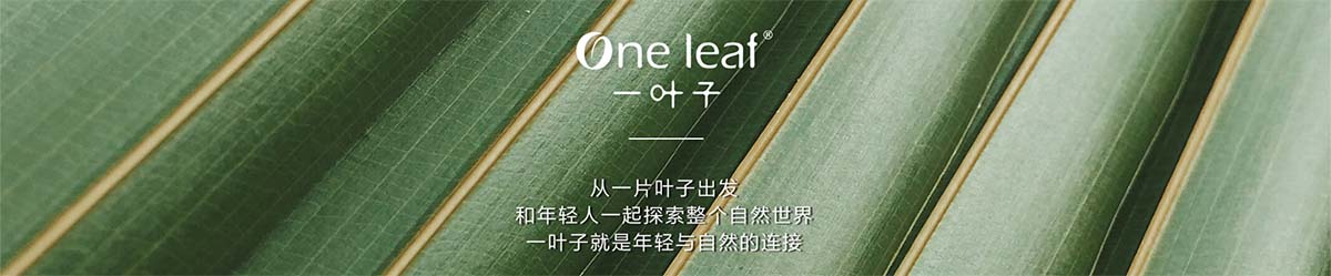 一葉子_化妝護膚品成分介紹_One Leaf是哪個國家的品牌_是什么牌子