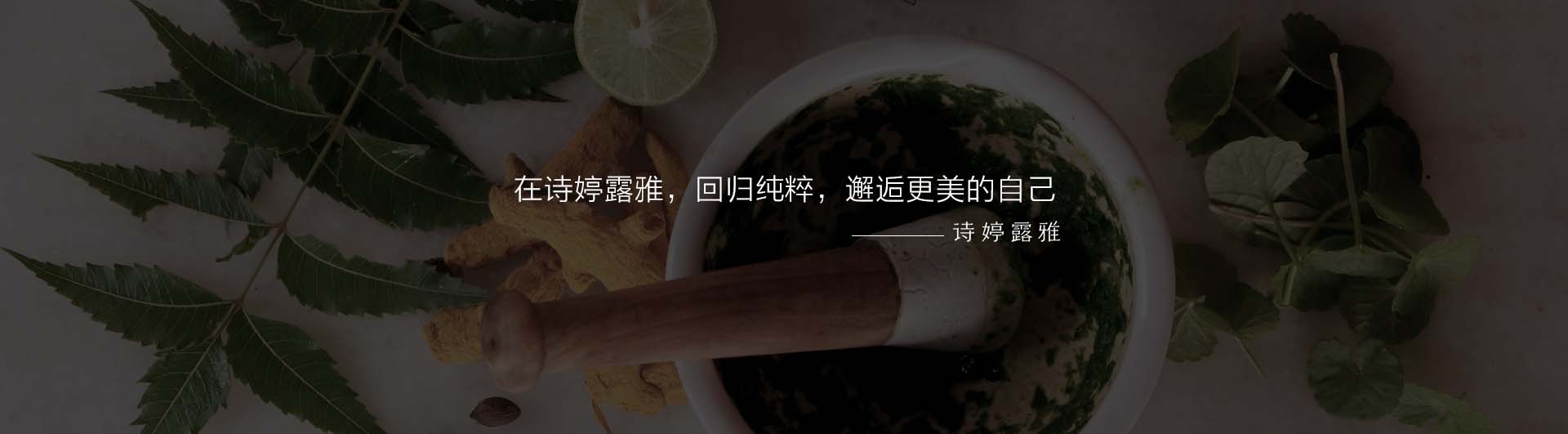 詩婷露雅_化妝護膚品成分介紹_STEEROREAR是哪個國家的品牌_是什么牌子