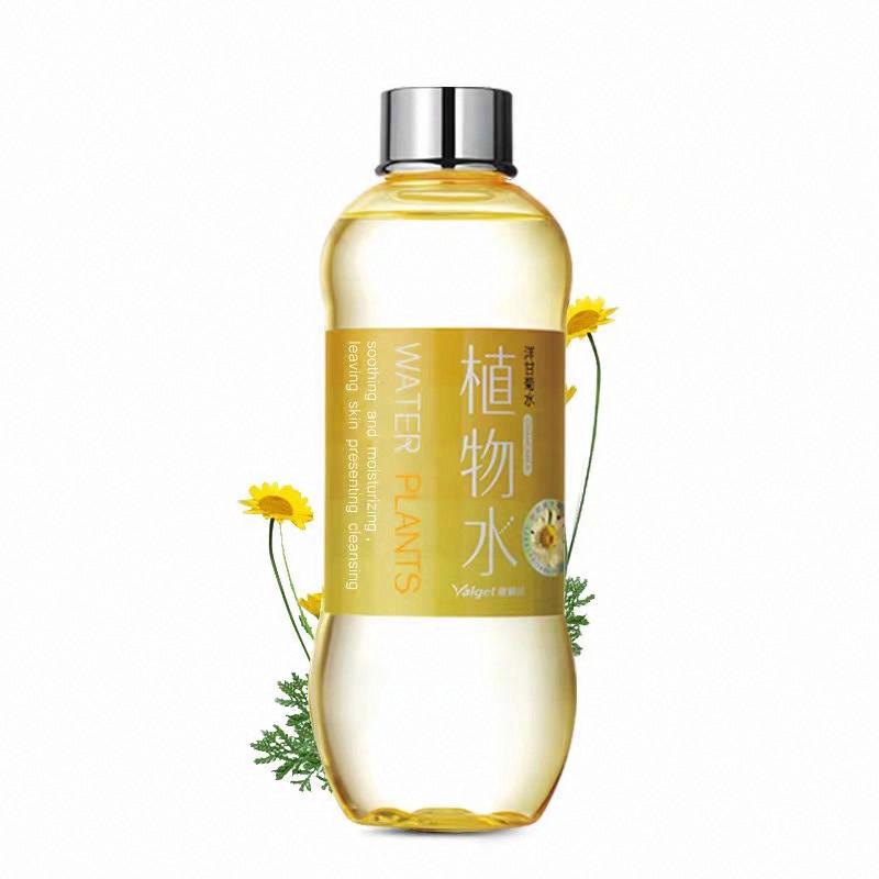 雅麗潔-洋甘菊水